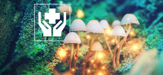 5 Surprising Benefits of Magic Mushrooms