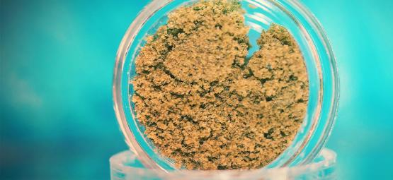 How To Make Dry Sift Hash  Step-By-Step Guide - Zamnesia Blog