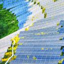 Wie Solarmodule Grow-Räume revolutionieren könnten