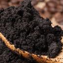 Verwerte Kaffeesatz wieder und mache Deine Pflanzen glücklich