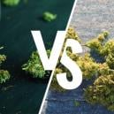 Im Freien Im Vergleich Zum Grow Room: Was Ist Besser? 