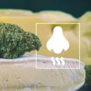 Cheese Sorten: Was Steckt Hinter Dem Geruch?