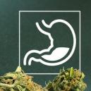 Wie Cannabis Die Verdauung Beeinflusst: Vor- Und Nachteile