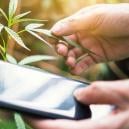 9 Cannabis Profile, Denen Man Auf Snapchat Folgen Sollte