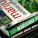 Die 6 Besten Bücher Über Den Cannabisanbau