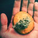 5 Wege Wie Man Cannabis Nutzen Kann Ohne Es Zu Rauchen