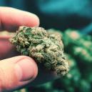 Popcorn Buds: Worum Es Sich Dabei Handelt Und Wie Man Sie Vermeidet