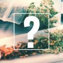 Joints, Blunts, Spliffs: Was Ist Der Unterschied?