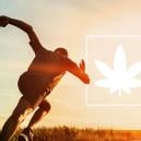 Wirkung Von Marihuana Auf Die Sportliche Leistung