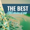 Die Besten CBD-Sorten Für Den Anbau Zu Hause