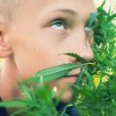 Erfahre, Wie Man High Wird, Ohne Cannabis Zu Konsumieren