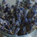 Kräuter, Die Man Mit Cannabis Mischen Kann