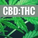 Die Vorteile Von Verschiedenen CBD:THC Verhältnissen