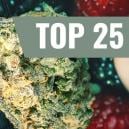 Die 5 Besten Fruchtigen Sorten, Die Du Jetzt Probieren Musst