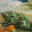 Die Besten Sorten Für Die Herstellung Essbarer Cannabisprodukte