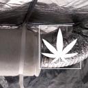 Ein Blick Auf Aktivkohlefilter Und Wie Du Deinen Eigenen Baust