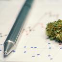 Die Vor- und Nachteile von Cannabis für das Lernen oder Trainieren