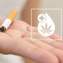 Wie Man Weed Nutzen Kann, Um Mit Dem Rauchen Aufzuhören