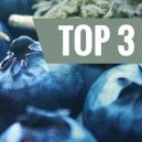 Die Herkunft Von Blueberry & Die Top 3 Der Blueberry-Sorten