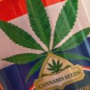 Nederwiet! Alles Über Niederländische Weed Und Die Top 3 Der dort erschaffenen Cannabissorten