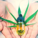 Ist CBG das neue CBD?