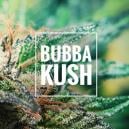 Sortenbewertung: Bubba Kush