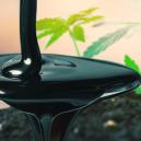 Melasse und Cannabis: Hebe Deinen Boden auf die nächste Stufe
