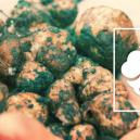 Wie Du Deine eigenen Zaubertrüffel anbaust