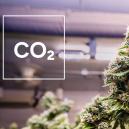 Wie man sich selber einen CO2 Generator für den Zuchtraum baut