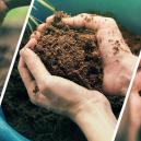 Schwere Frage für Anfänger: Boden im Vergleich zu Hydrokultu