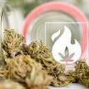 Was bei der Decarboxylierung passiert