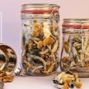 Wie man Zauberpilze und Trüffel lagert