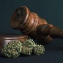 10 Gründe, Warum ALLE Drogen Legalisiert Werden Sollten