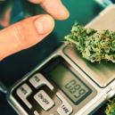 Wie Man Die Richtigen Waagen Auswählt