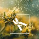 Die 5 besten Methoden, um Hasch herzustellen