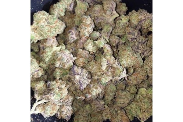 Blueberry Autoflower (Zamnesia Seeds) feminized