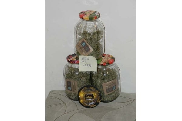 King's Kush Autoflowering (Greenhouse Seeds) feminisiert King's Kush Autoflowering (Greenhouse Seeds) feminisiert