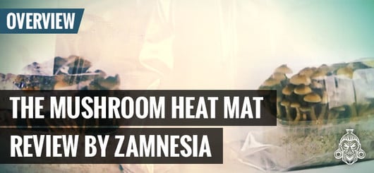 The Mushroom Heat Mat By Zamnesia 
