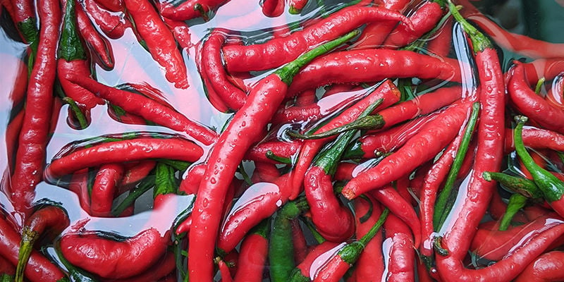 Wash Your Chillies Thoroughly