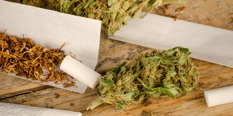 Tobacco increases the effects of cannabis