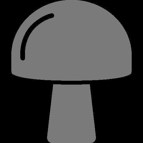 Magic Mushroom