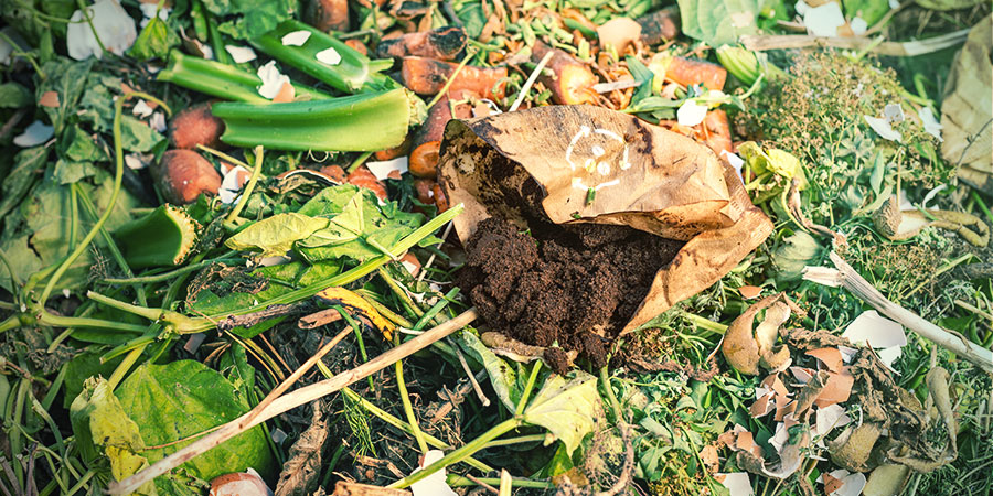 Coffee Ground In Composting