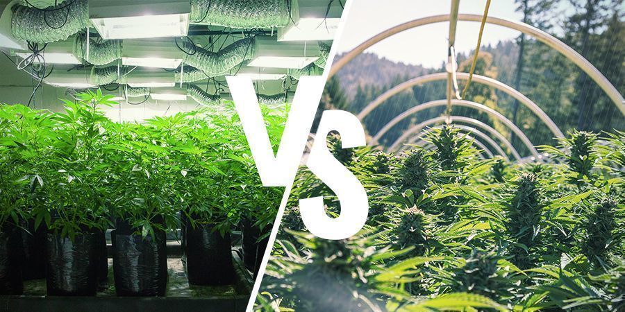 What’s the Difference Between an Indoor and Outdoor Grow Setup?