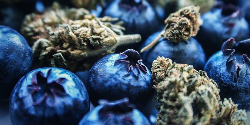 Blueberry: Flavour & Effects