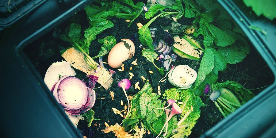 How To Make Your Own Compost