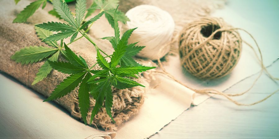 What Is Hemp?