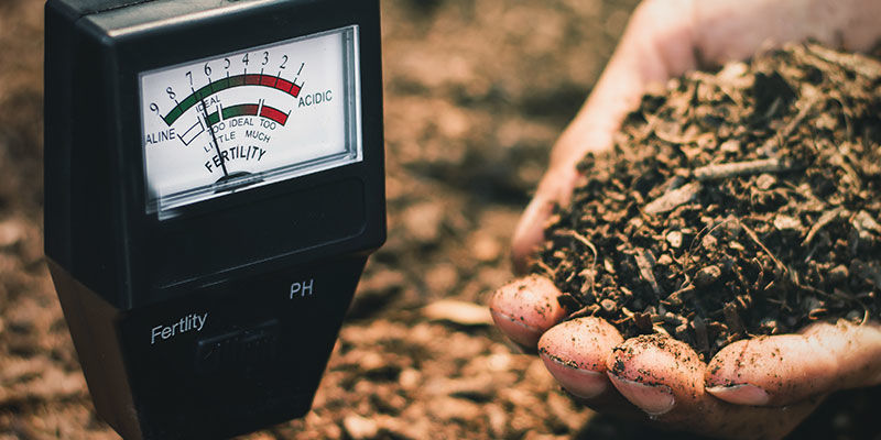 Check pH Level Regularly