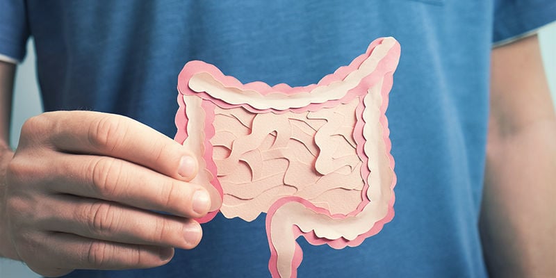 How Cannabis Affects Digestion
