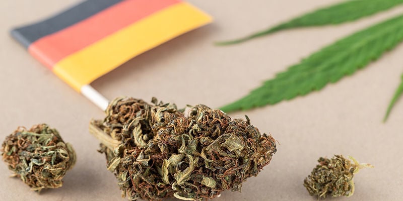 Critiques Of Germany'S New Cannabis Laws