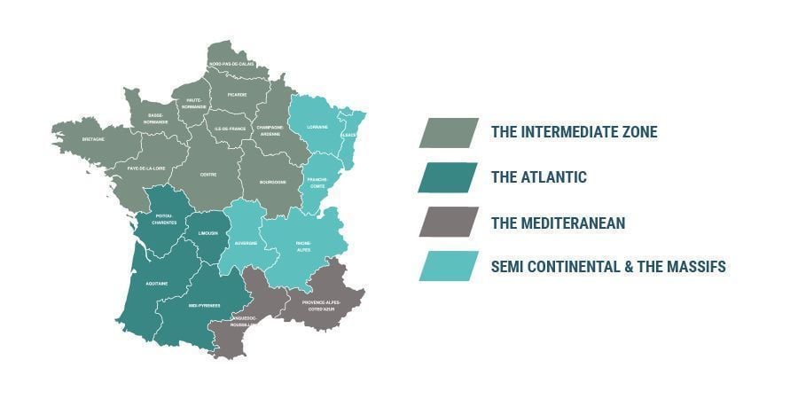 GROWING CANNABIS IN FRANCE